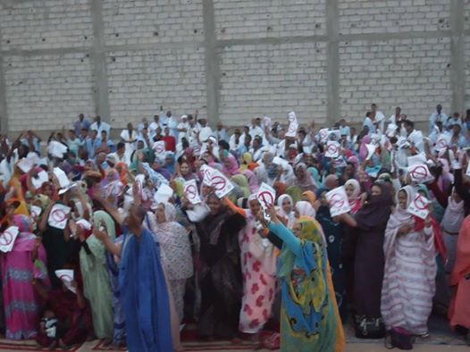 جانب من الحضور 